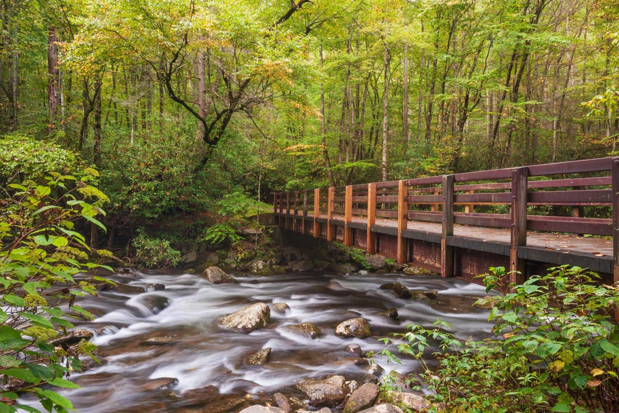 Mountain Eden, Hot Tub, Resort Pool, Wifi, 1089 Free Tickets Each Paid Day, Dollywood And More Гатлинбург Экстерьер фото